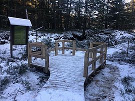 Construction of a new moor trail 2019