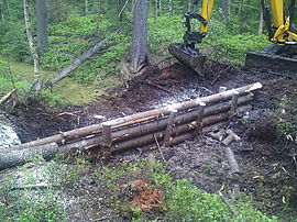 Machine-built dam reinforced by logs in Stengelhaide 2018