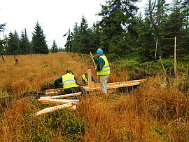 Workers filling the boards (Kriegswiese Meadow 2014)
