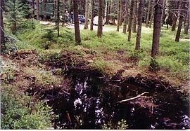Wasserfläche vor einem Stau aus dem ersten Bauabschnitt mit gut gelungener seitlicher Ableitung des Wassers in die Fläche (Frühjahr 2004)