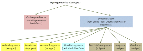 Hydrogenetic moor types