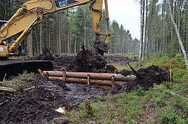 Filling in peat around the trunks (Stengelhaide Meadow 2013)