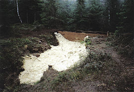 Dam with sawdust covered using the Zuger method