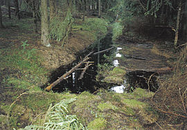 Full backwater caused by the board dam covered in peat visible in the foreground (Summer 2006)