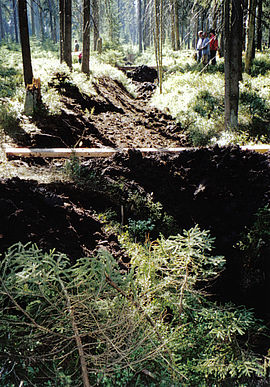 Ditch filling 2006