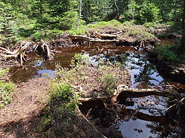 Wet location where peat has been removed