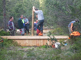 Forestry trainees constructing a bulkhead wall