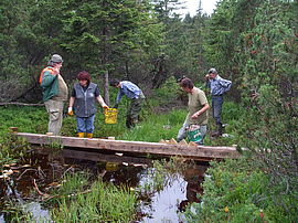 Volunteer helpers working on building a board dam