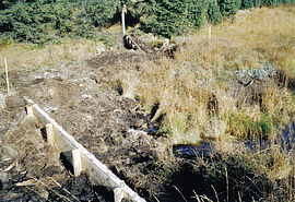 Both board dams (partially filled with peat already in the image) will retain the water in the peat bed in the future. Natural overflow prevents the collection of too much water.